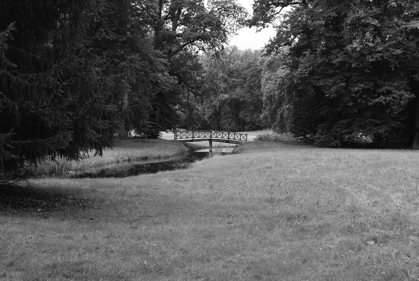 Ersatzneubau Schilfseebrücke im Park Branitz