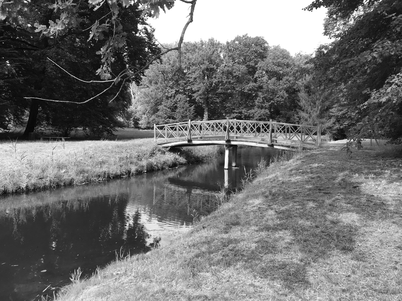 Ersatzneubau Schilfseebrücke im Park Branitz